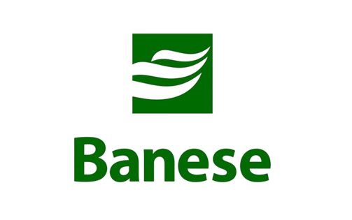 Banese Logo